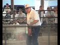Homelite 450 chainsaw