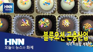 블루오션 곤충산업