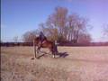 videos de HPIM0802.AVI