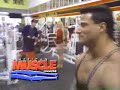 Huge Mike Matarazzo Arm Workout