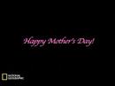 Happy Mother\
