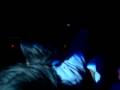 Mat Weasel Busters @ La Cova 21-11-2k8