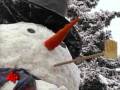Snowzilla-Wreaks-Hav
