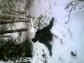 crag n cal falling tree