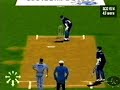 Brian Lara Cricket PSX Weirdness