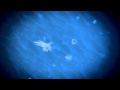 YouTube - Origins - Starcraft 2 Map