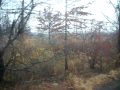 Teterboro to Wood-Ridge (Pascack Valley Line) pt.3