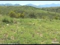 $75,000 in PATAGONIA 85624. Call Gary ...