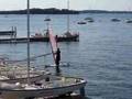 sailboard surfing in style
