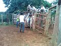 mateus x rio branco