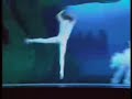 Acrobatic Swan Lake trailer 2/2