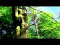 Guarda video