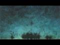 videos de Bugs, Trees, Vines... and Fog!