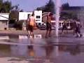 malavares en la fuente de varela
