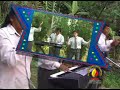 Maximo Paitan - Como El Cordero - 002