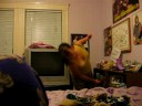 dancing speds