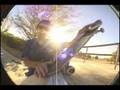 Blunt stall