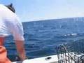 Lobstering with Ellie