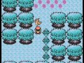 Pokemon Silver/Gold/Crystal - Ilex Forest