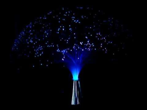Fibre Optic Lamp Fibre Optic Lamp