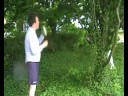 STIG for CF Ireland - Montage
