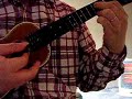 Homeward Bound  Simon & Garfunkel Cover