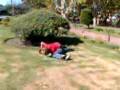 videos de Yudo en la plaza