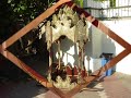 Maroco Aktana Tsarfati -חינה מרוקו הקטנה צרפתי - www.hena.fr