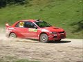 Raliul Sibiului 2008 PS 8 Crinti