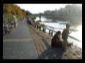 Kyoto cycling down along Kamogawa Kyoto cycling down along Kamogawa