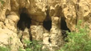 مجموعة كشافة مخيم قدورة