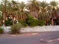 Djibouti drive by