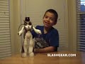 WowWee Femisapien kid review WowWee Femisapien kid review
