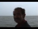 New Country Grass Ferry Trip