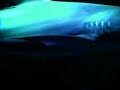 Haifisch
