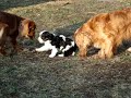 Winter at 7 weeks