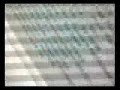 J-Frequency-Bam-Bam-