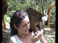 nosy be madagascar pillole