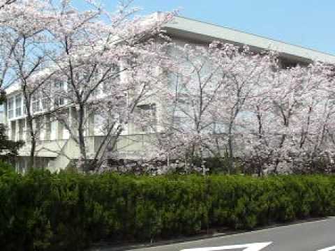 堺東高校　禁断の女子高生  ２００９年度　大阪　さくら　②