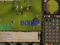 Horse play (h  0  r  s 3 pk vid 1)