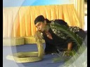 welcome to vip tv biz