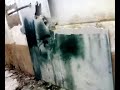 negro rompe pared..nos bajamos los pantalones
