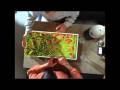 videos de Pioneer - BPPS