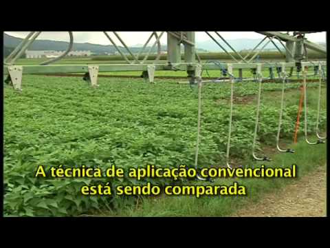 Ver vídeo