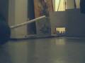 my mini bowling lanes my mini bowling lanes