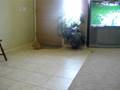 videos de Sunny the Cat Chasing Nurf Darts
