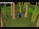 New Pet Colors part 3-Geckos