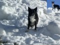 UN DIA EN LA NIEVE CON LOS COLEGAS UN DIA EN LA NIEVE CON LOS COLEGAS