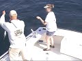 Wreck Fishing NC- Triggerfish-Cobia Poacher Charters