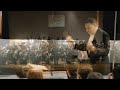 Pirates of the Caribbean - HD